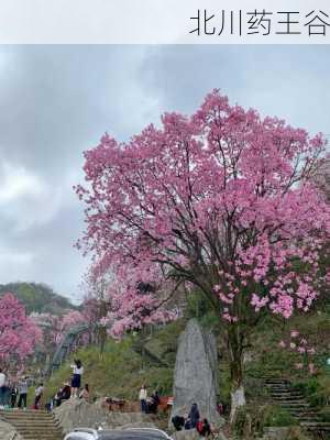 北川药王谷