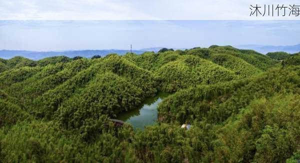 沐川竹海