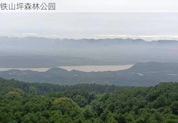 铁山坪森林公园