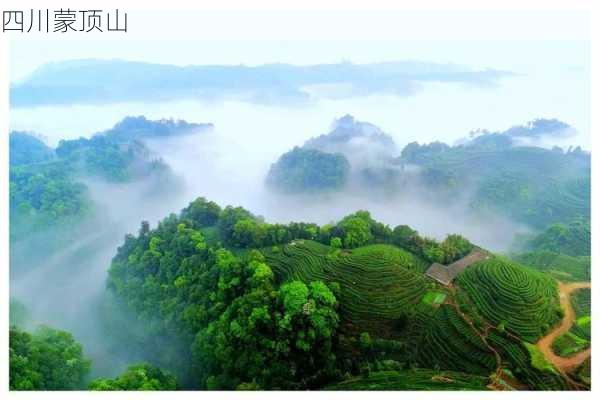 四川蒙顶山