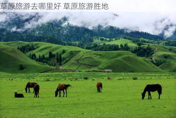 草原旅游去哪里好 草原旅游胜地