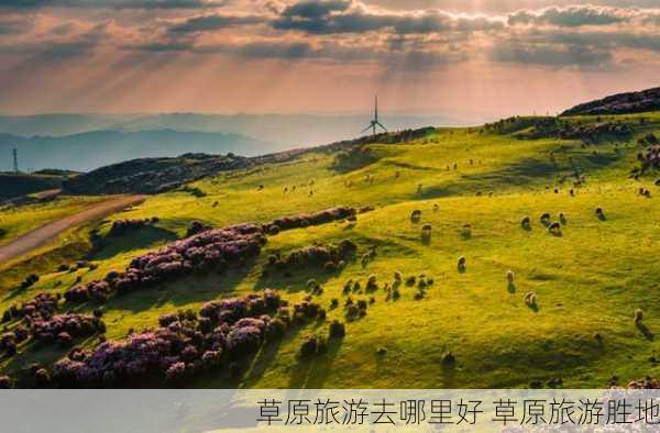 草原旅游去哪里好 草原旅游胜地