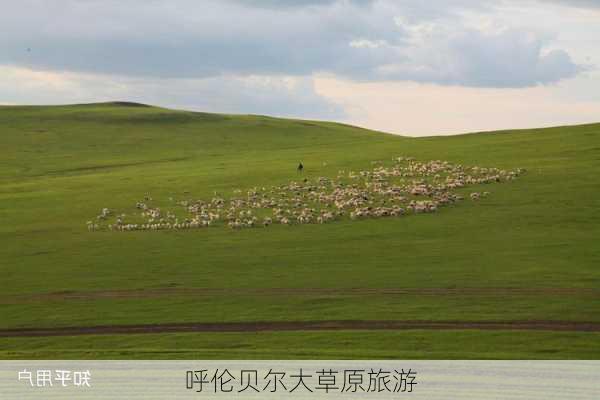 呼伦贝尔大草原旅游