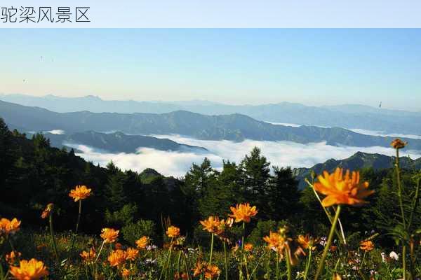 驼梁风景区