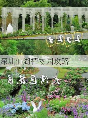 深圳仙湖植物园攻略