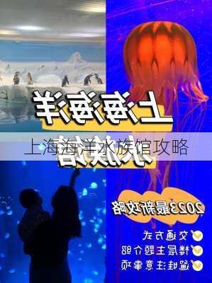 上海海洋水族馆攻略