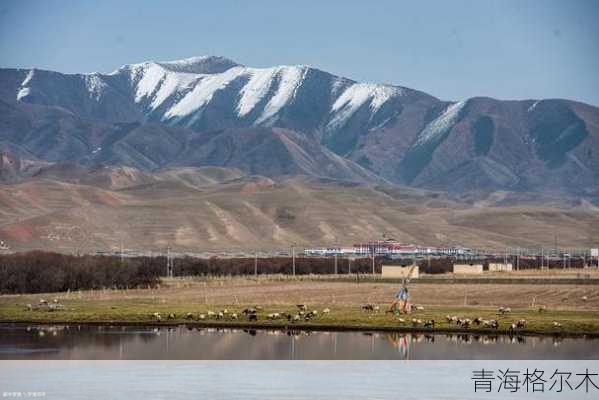 青海格尔木