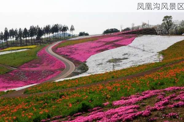 凤凰沟风景区