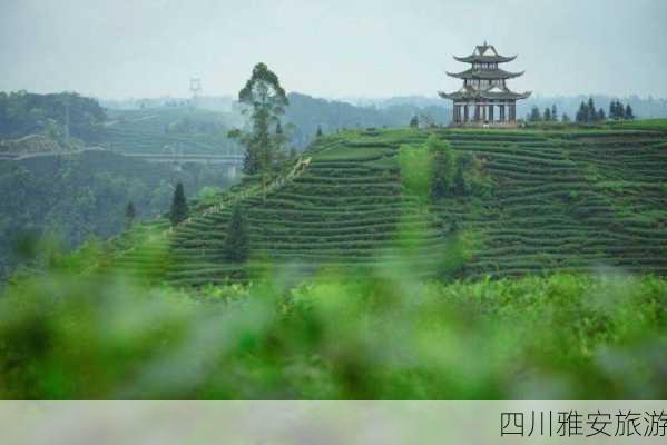 四川雅安旅游