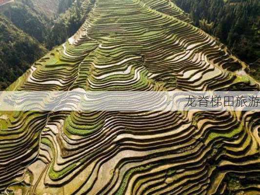 龙脊梯田旅游