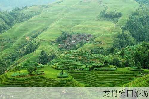 龙脊梯田旅游