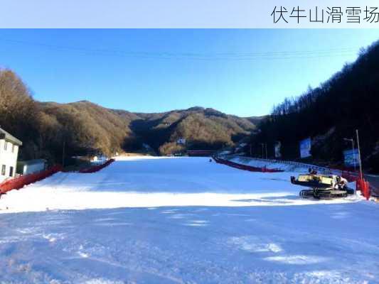 伏牛山滑雪场