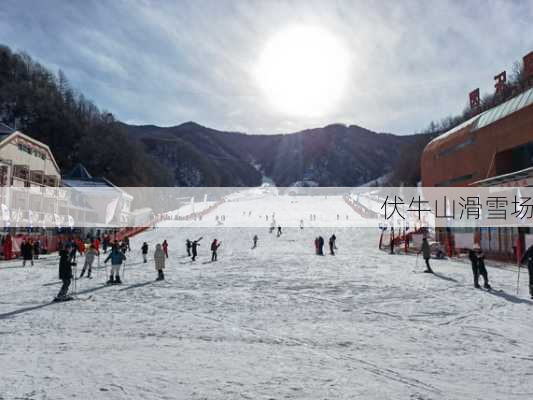 伏牛山滑雪场