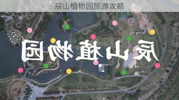 辰山植物园旅游攻略