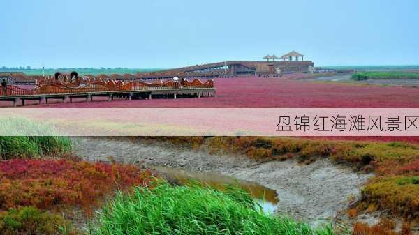 盘锦红海滩风景区