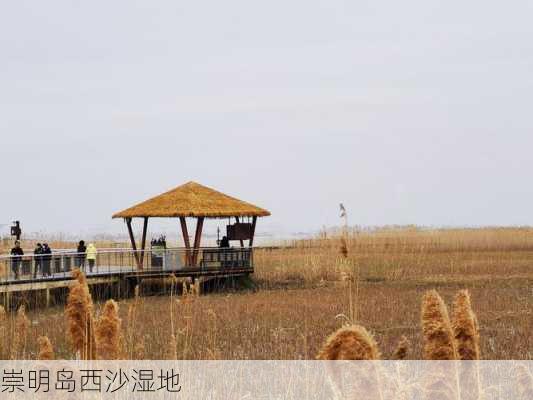 崇明岛西沙湿地