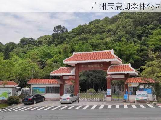 广州天鹿湖森林公园