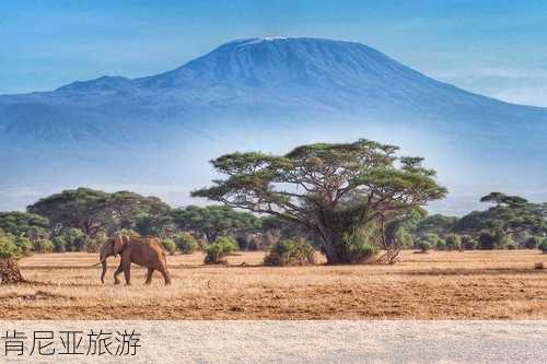 肯尼亚旅游