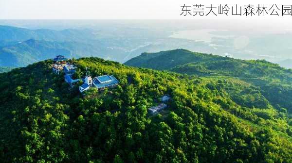 东莞大岭山森林公园