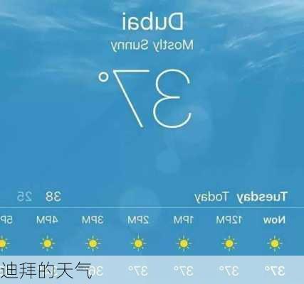迪拜的天气