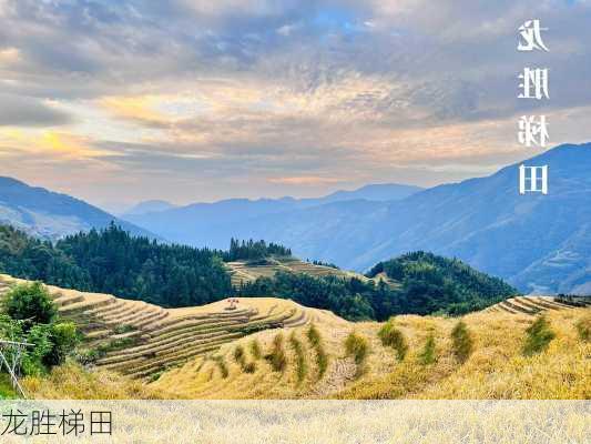 龙胜梯田