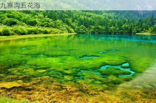 九寨沟五花海