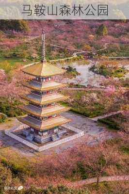 马鞍山森林公园