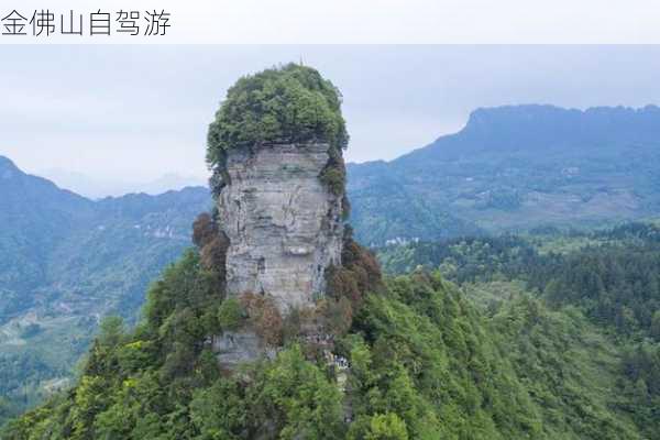 金佛山自驾游