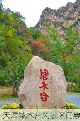 天津梨木台风景区门票