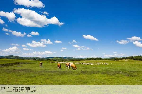 乌兰布统草原