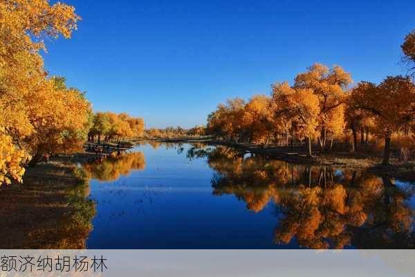 额济纳胡杨林