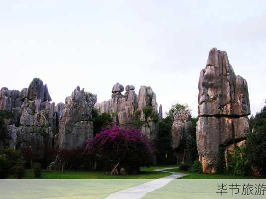 毕节旅游