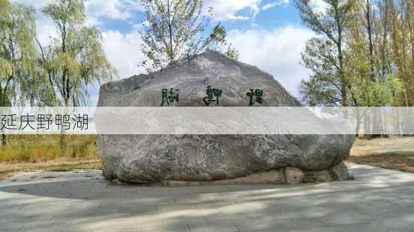 延庆野鸭湖