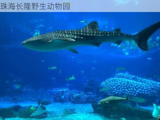 珠海长隆野生动物园