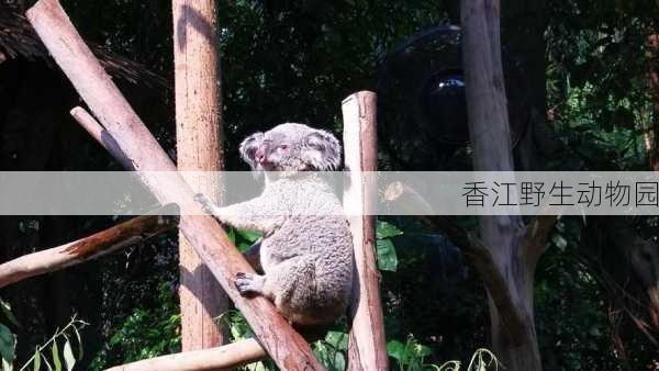 香江野生动物园