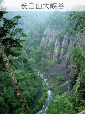 长白山大峡谷