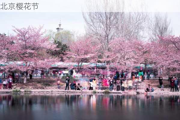 北京樱花节