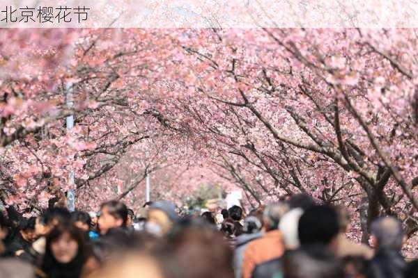 北京樱花节