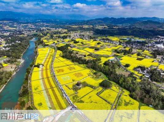 四川芦山