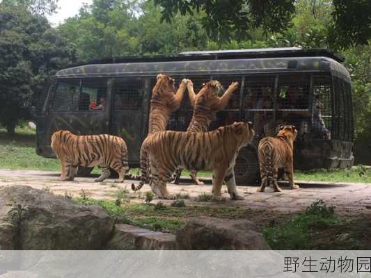 野生动物园