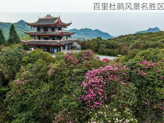 百里杜鹃风景名胜区