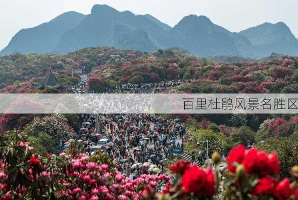 百里杜鹃风景名胜区