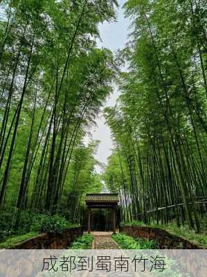 成都到蜀南竹海