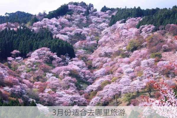 3月份适合去哪里旅游