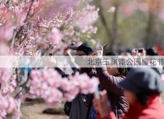 北京玉渊潭公园樱花节