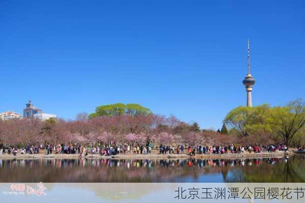 北京玉渊潭公园樱花节