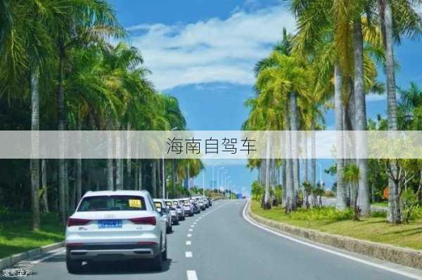 海南自驾车