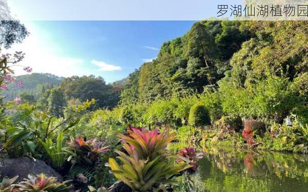 罗湖仙湖植物园