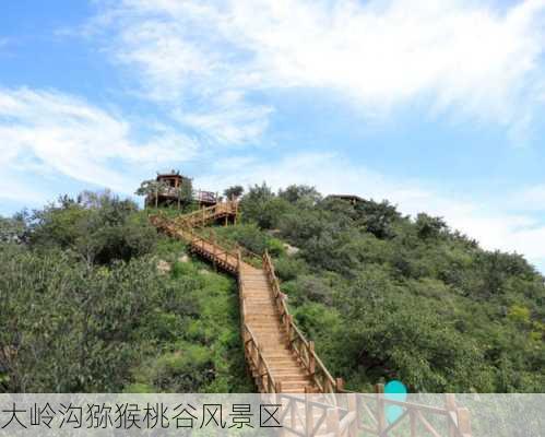 大岭沟猕猴桃谷风景区