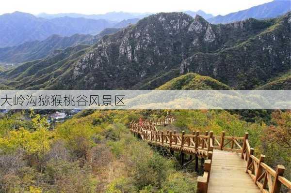 大岭沟猕猴桃谷风景区